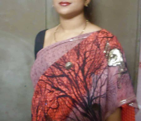 Indian wife saree strip