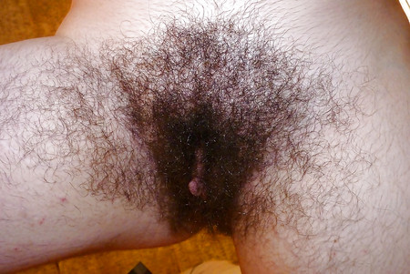 FIGA PELOSA 44 HAIRY PUSSY 44 CONO PELUDO CHATTE POILUE